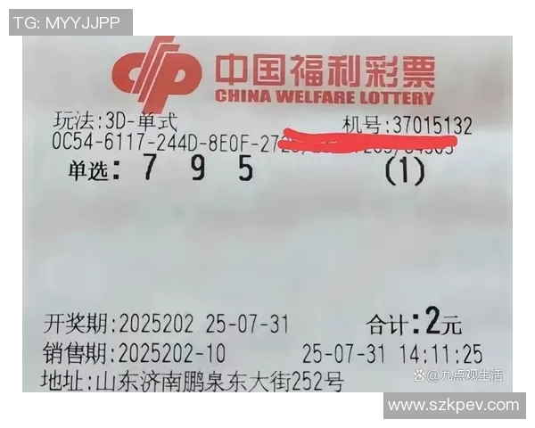 探索中国3D福利彩票的魅力与机遇揭示数字游戏背后的秘密与乐趣