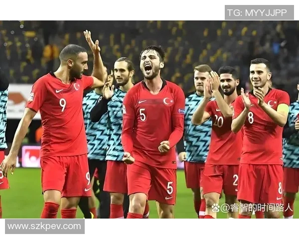 多特蒙德与马拉加精彩对决集锦回顾与分析